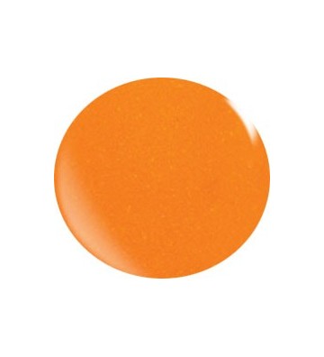 Color Acryl Powder N017/56 gr.
